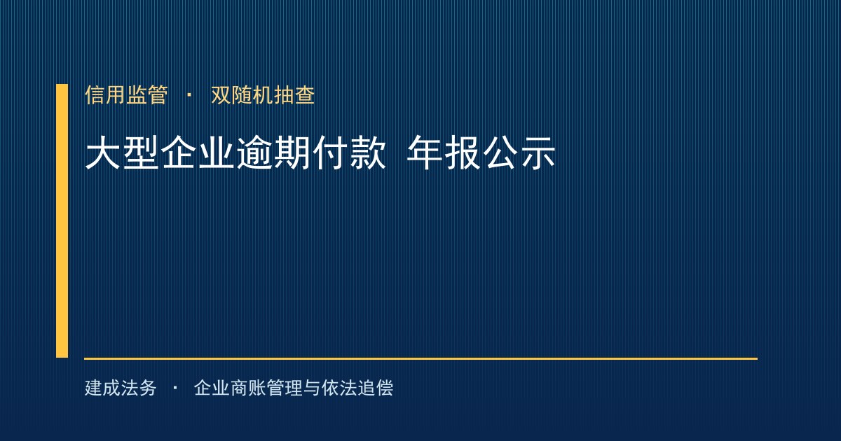 大型企业逾期支付中小企业款项年报公示与信用监管（宁德）-封面