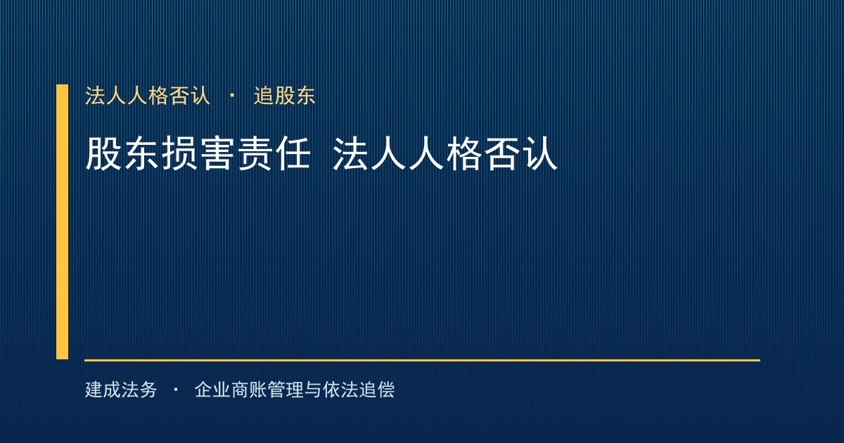 股东损害公司债权人利益责任：法人人格否认追股东（丰满）-封面