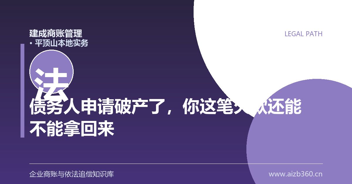 债务人申请破产了，你这笔欠款还能不能拿回来（平顶山）-封面