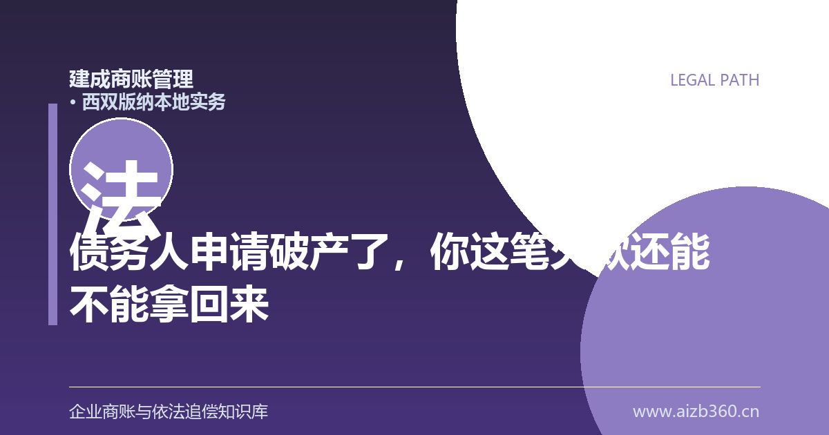 债务人申请破产了，你这笔欠款还能不能拿回来（西双版纳）-封面