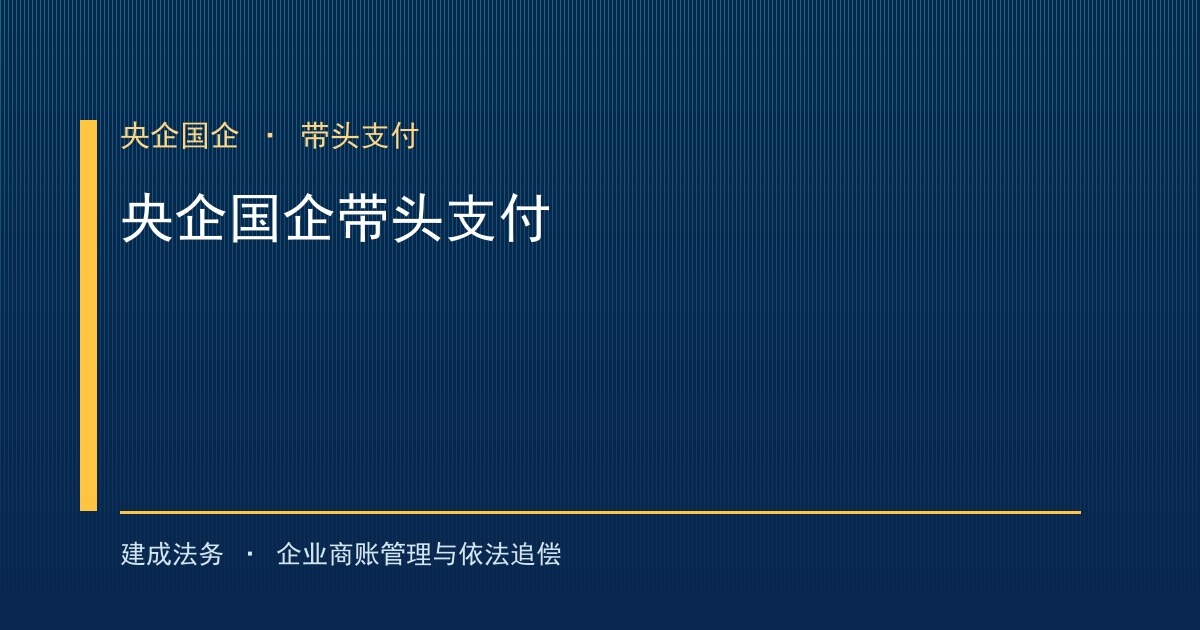 保障中小企业款项支付条例配套政策：央企国企带头履行支付责任（平顶山）-封面